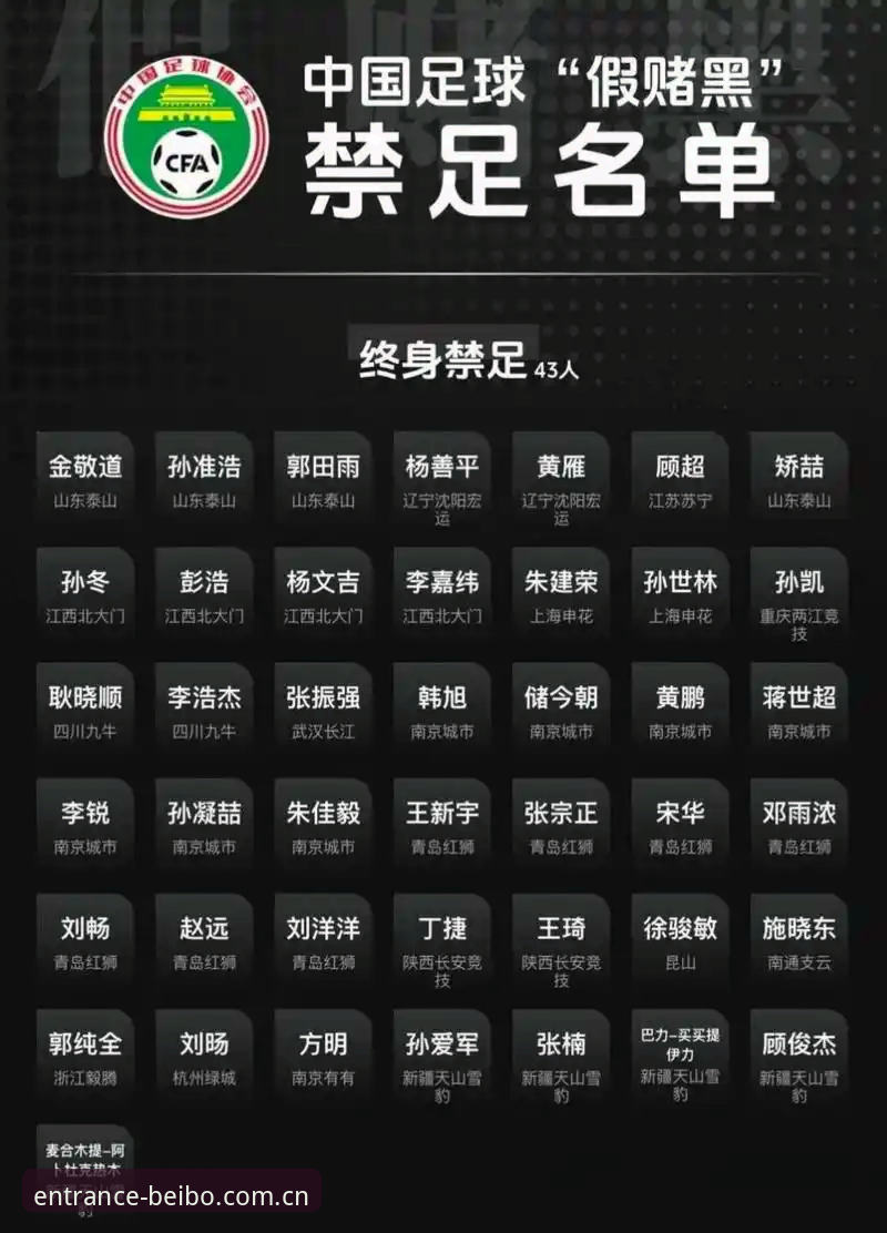 揭秘足协重拳出击背后：贝博体育平台老用户深度解读第三批禁足名单的来龙去脉